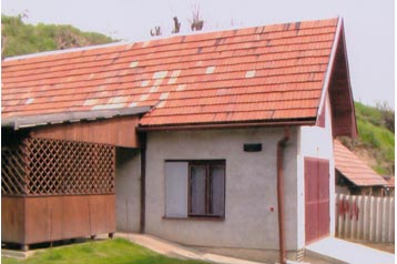 Slovaška Chata Veľké Lovce, Eksterier